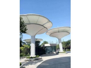 濕地公園景觀(guān)